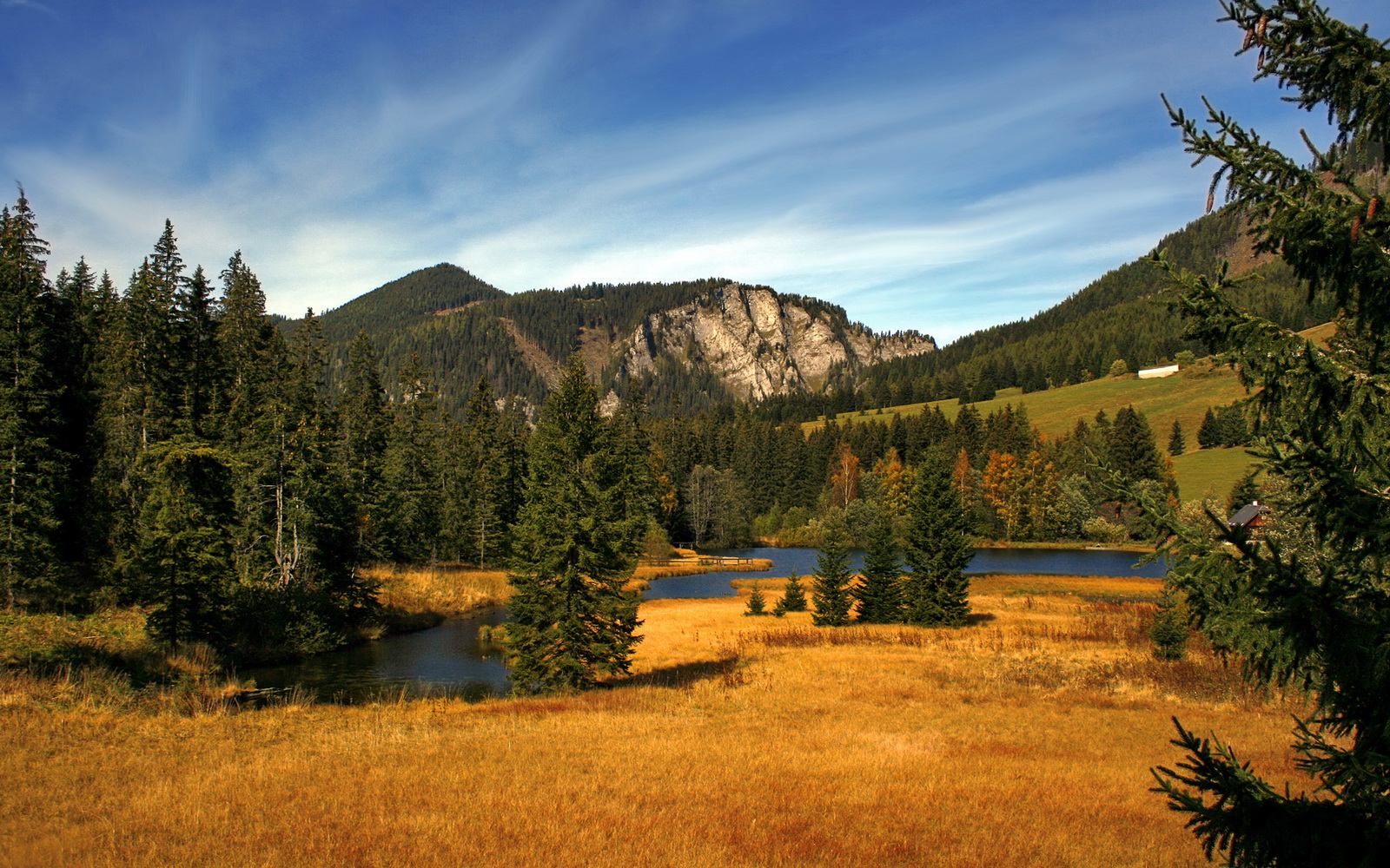 “青少年足球比赛精彩纷呈，未来之星纷纷亮相”，2020青少年足球比赛