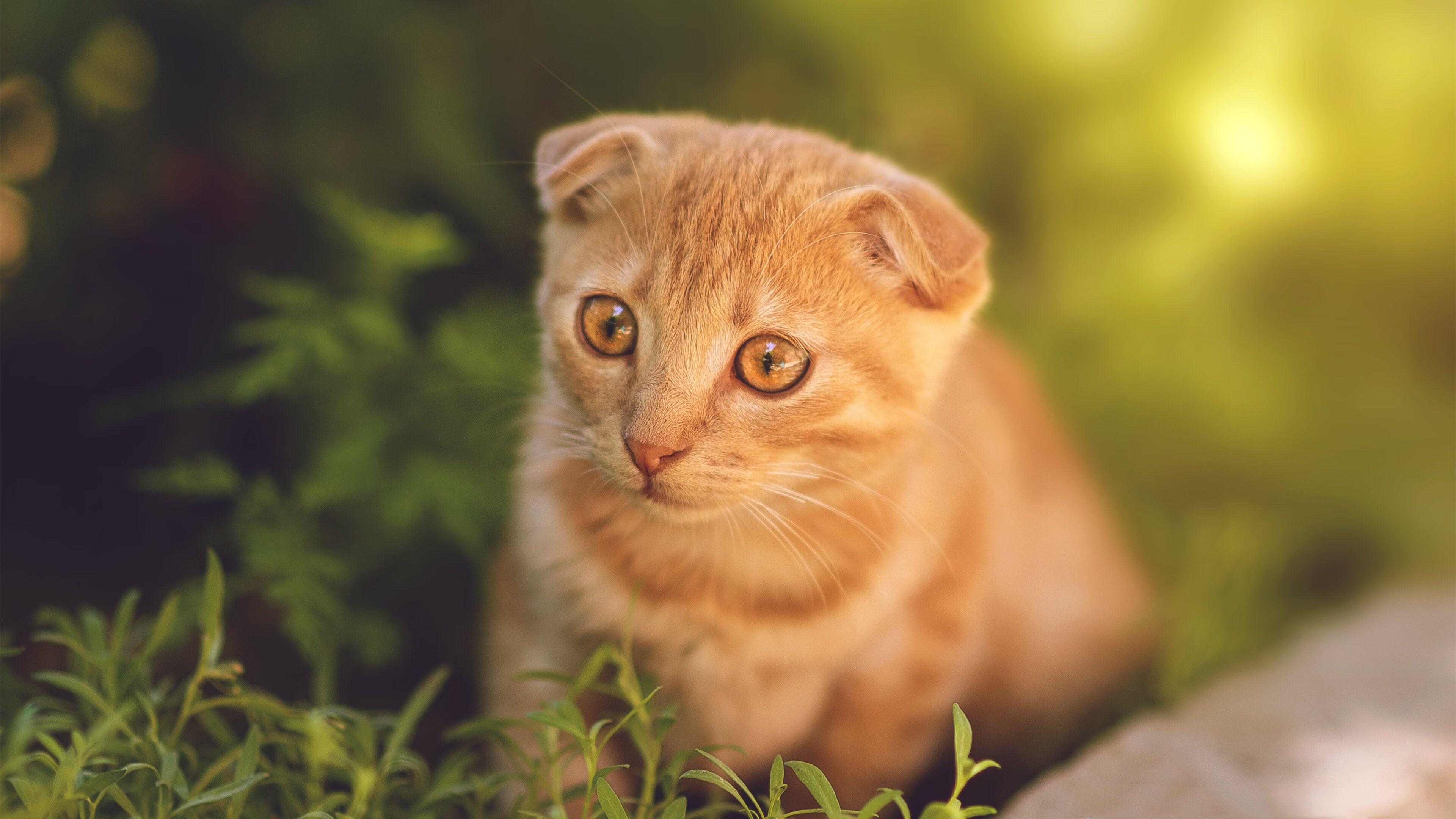 “青少年足球潜力股——未来巨星轮番出场”,青少年足球训练现状