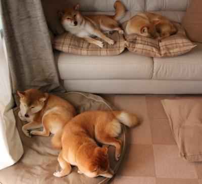 《高校电竞专业快速发展,行业人才供需平衡待解》,电竞成为高校专业