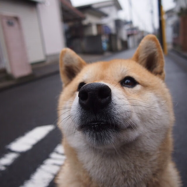 海外电竞市场快速布局，中国企业加快“出海”步伐，电竞国内外
