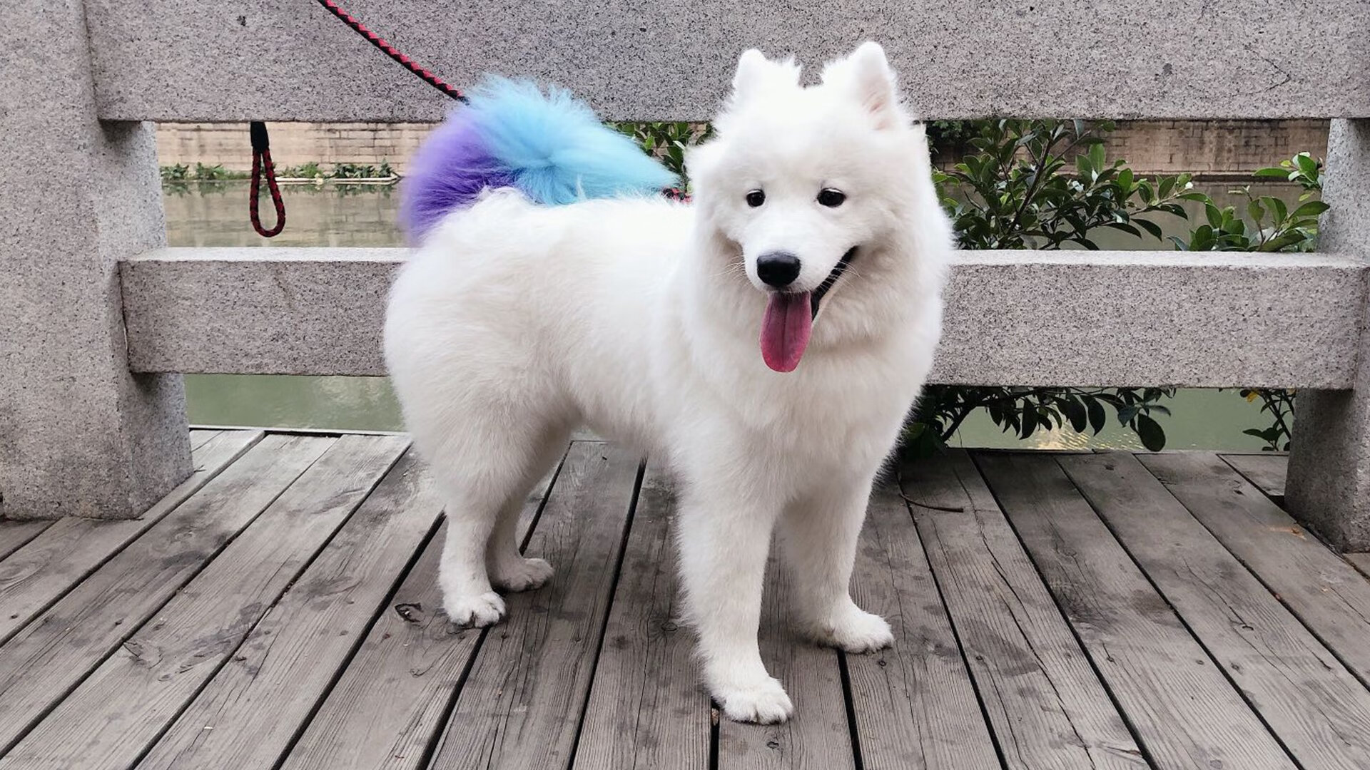 球队重建：未来几年目标与策略规划，球队建设