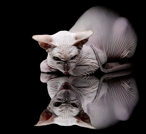 英超：曼城终场绝杀逆转利物浦，争冠局势升温，英超23轮曼城对利物浦