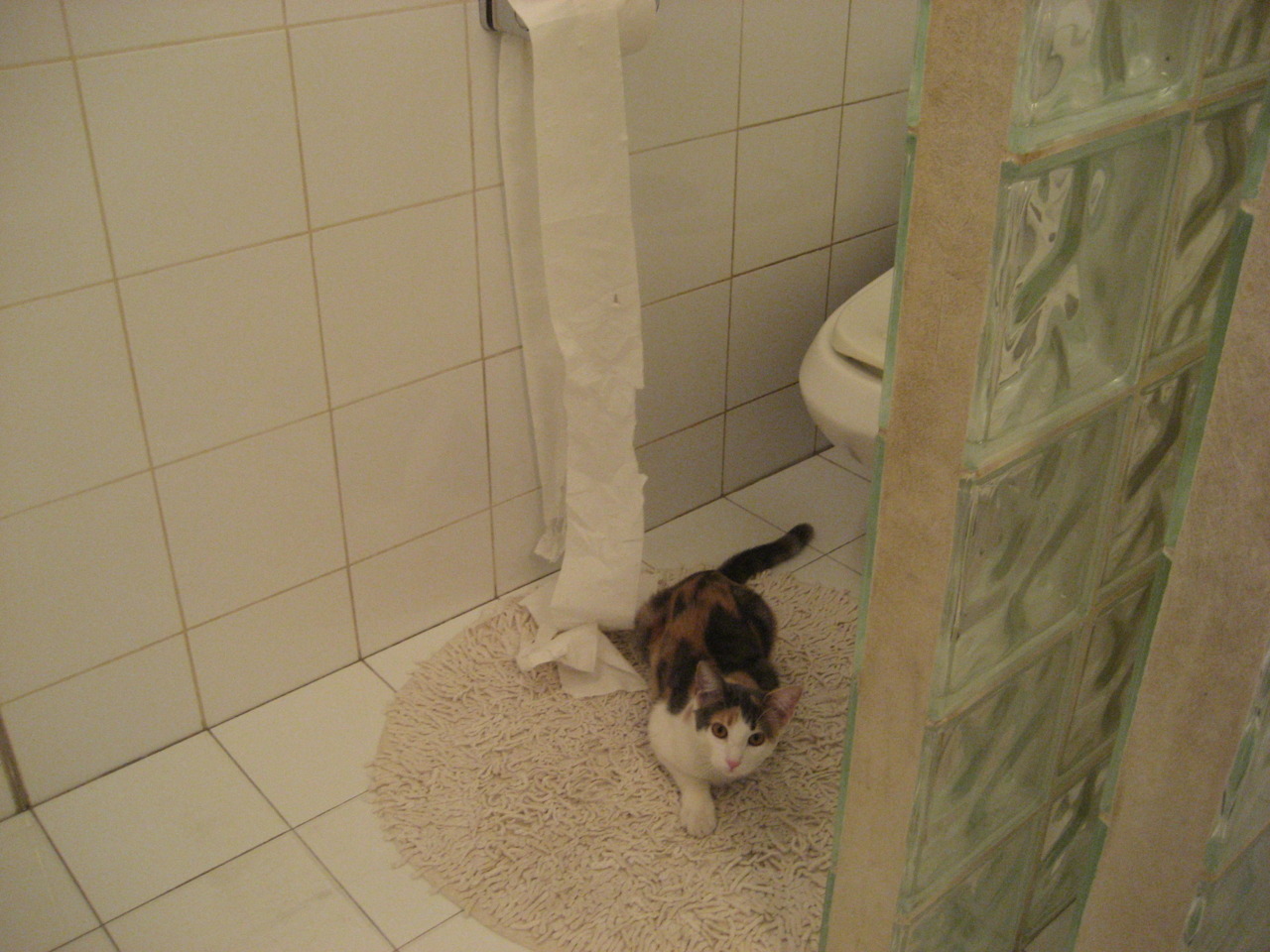 Aster季后赛对阵形势分析,季后赛阵容