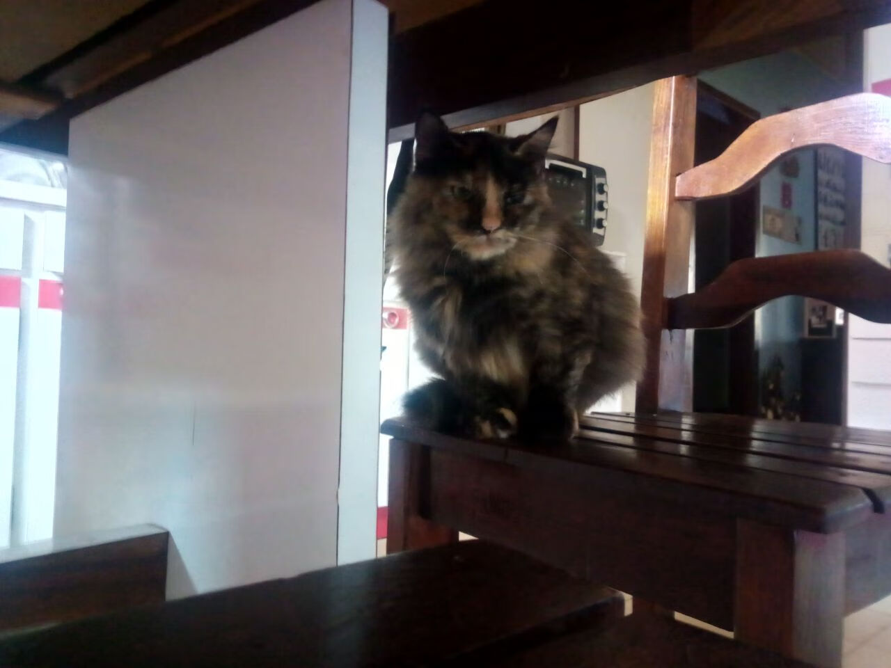 切尔西女足比赛数据统计分析，切尔西女足vs巴塞罗那女足直播