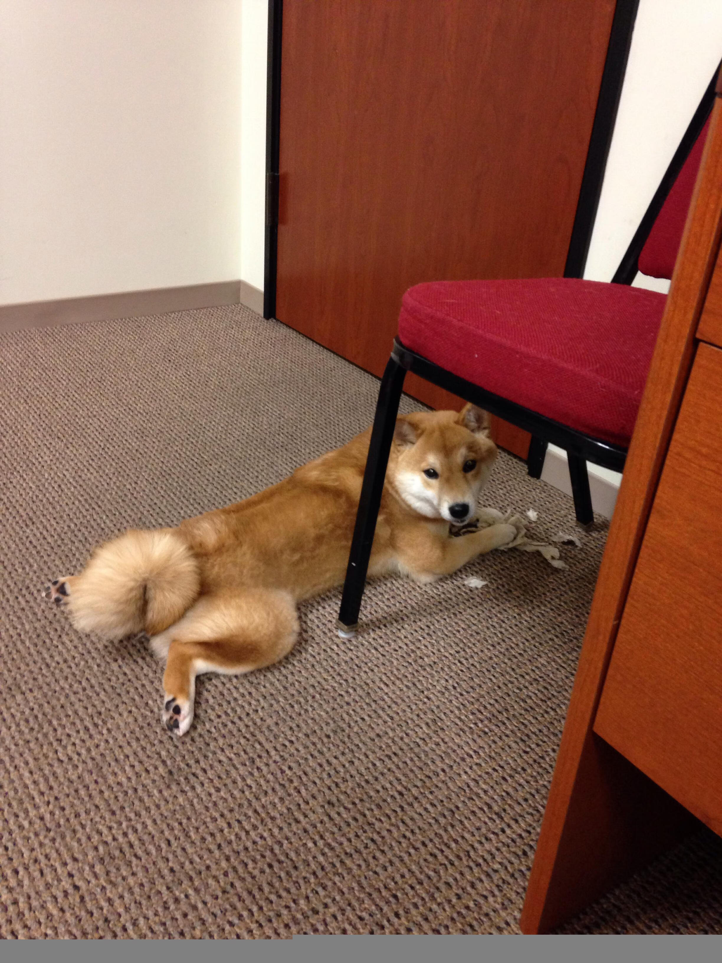 圣埃蒂安锋线效率不高，射门技术需改进，圣埃蒂安锋线效率不高,射门技术需改进吗