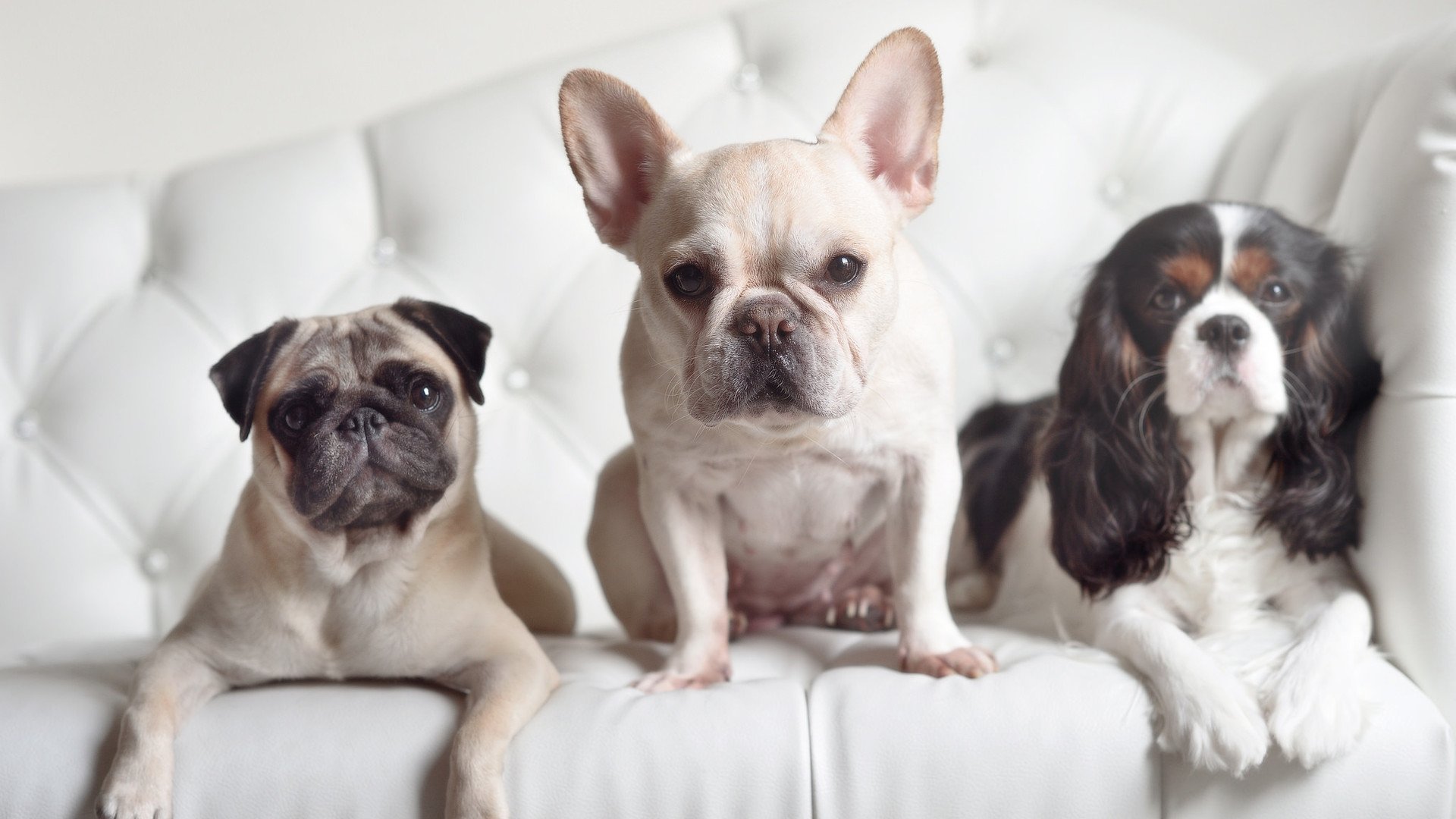 女子篮球世界杯中国队晋级决赛，2022女子篮球世界杯