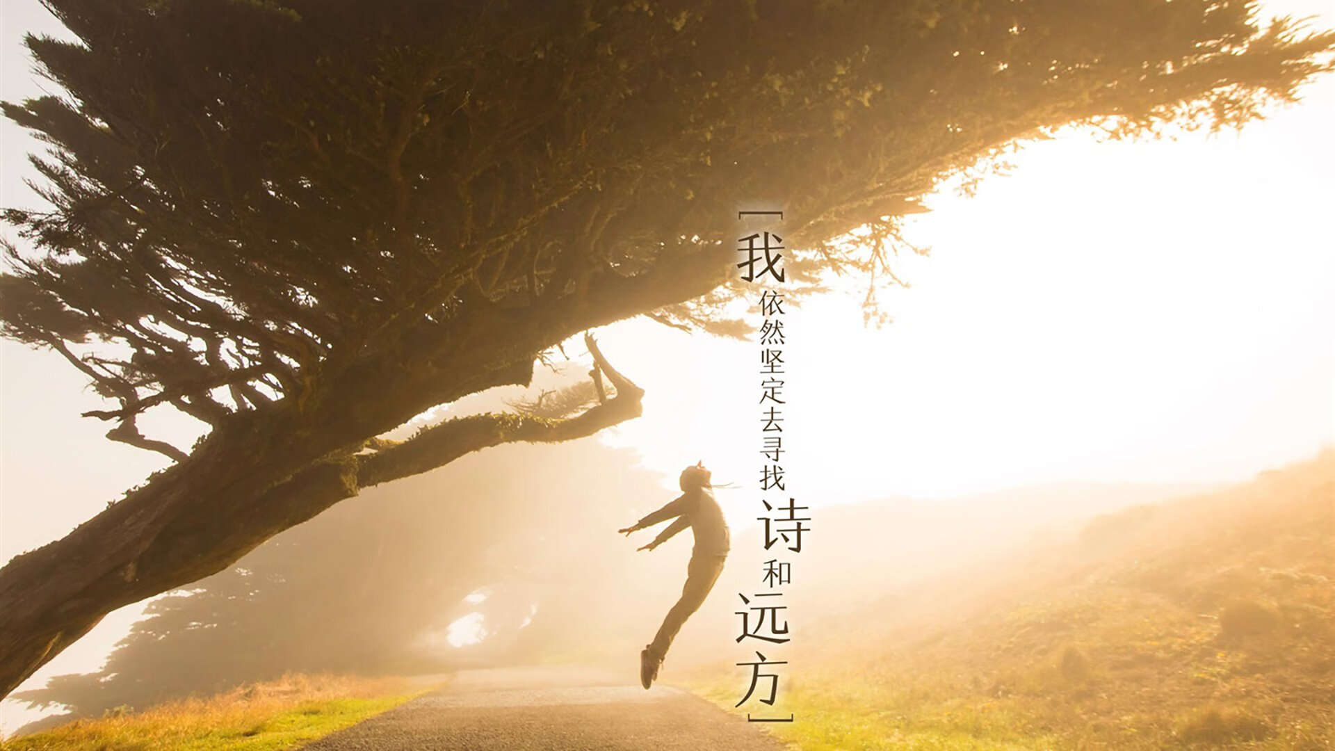 曼城控球主导，蓝月亮力争连冠，曼城 blue moon