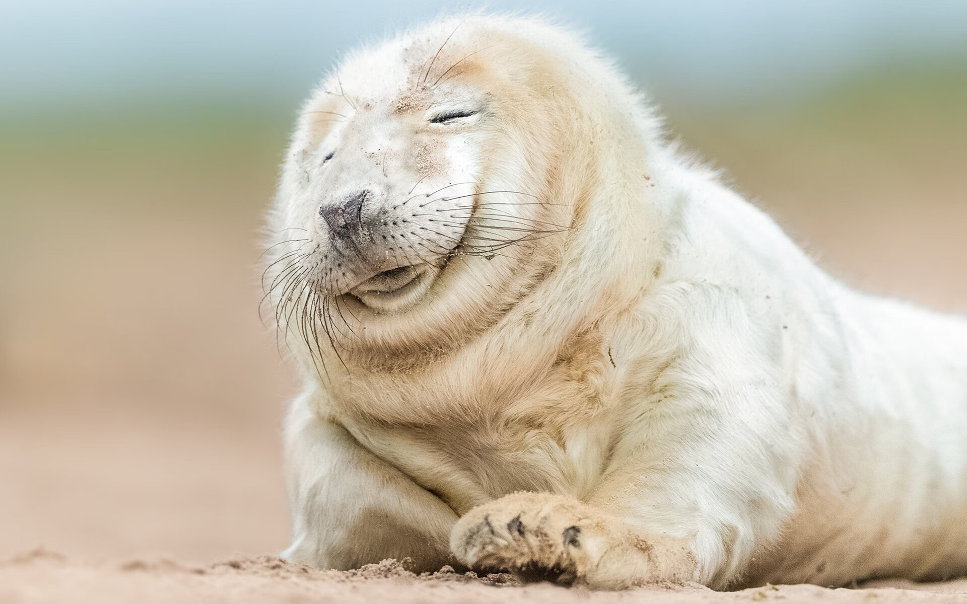 瑞士门将神勇扑救，力保球门不失，瑞士门将扑点犯规_