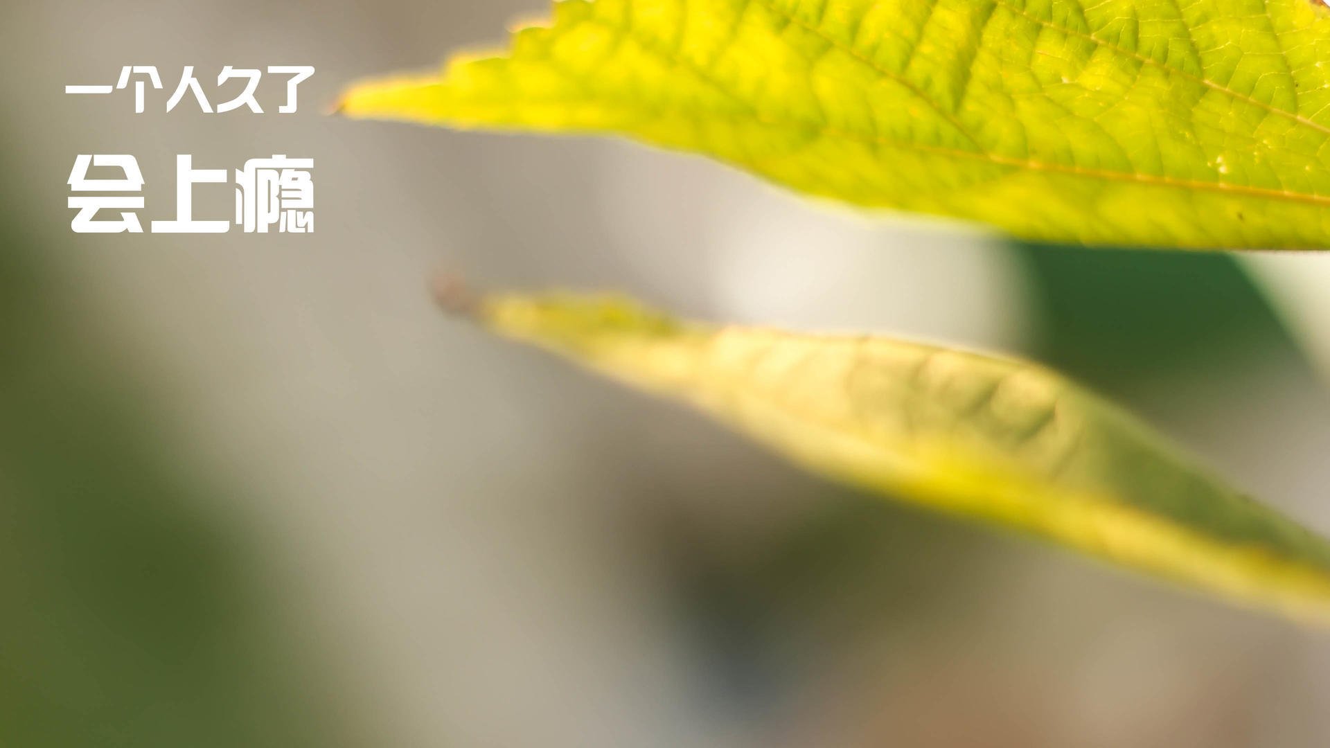 裁判公信力是否影响联赛观赏性，裁判员公平公正执裁原则是什么_