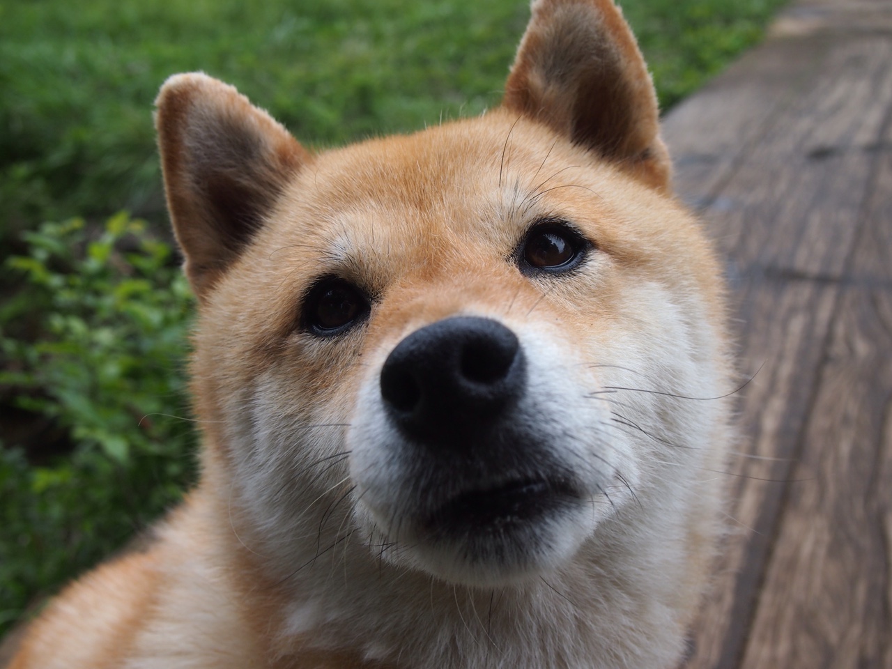 中国篮球青训体系课程改革及教学质量提升策略,中国青少年篮球培训大纲