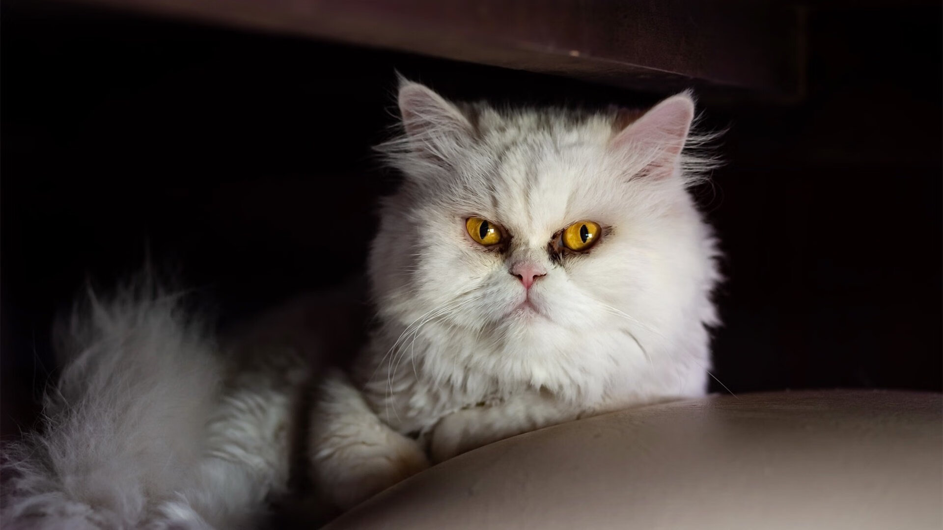 中国足球进攻区域转移效率模型，足球大范围转移