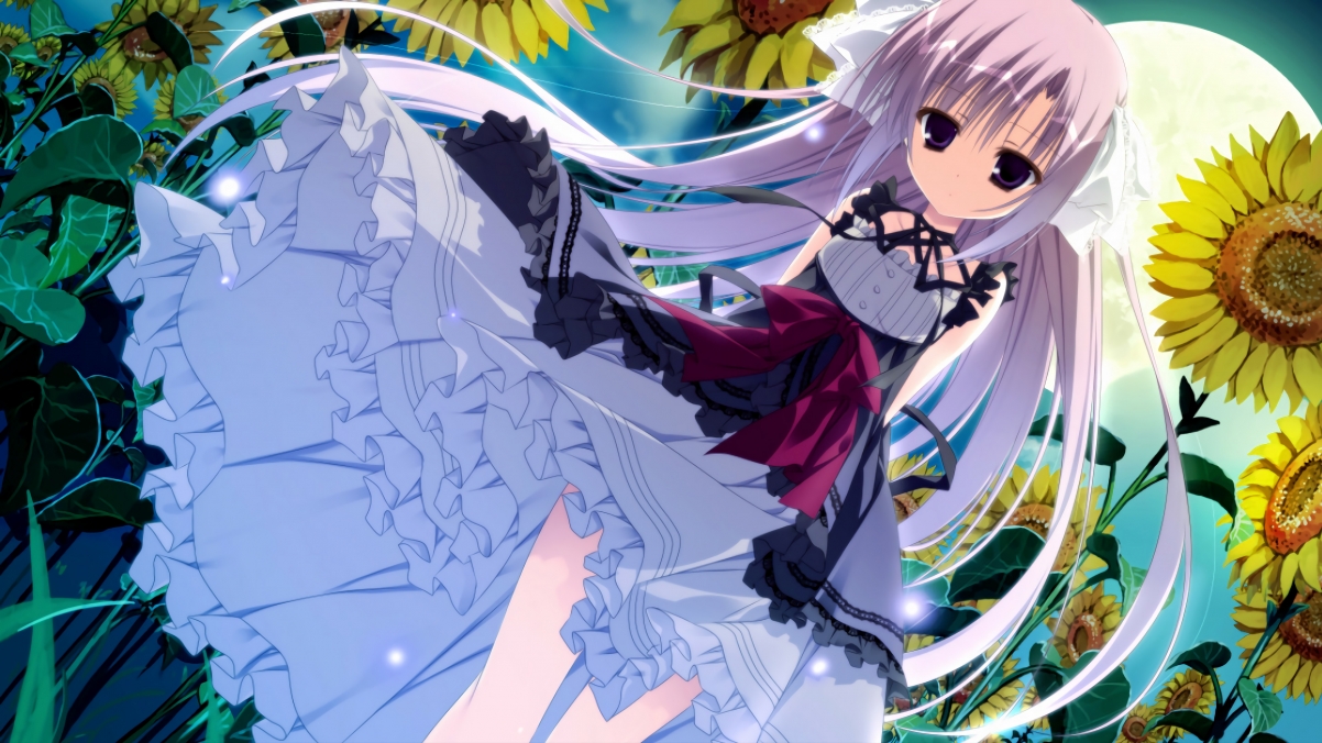 大型赛事环境友好型管理实践案例分析,环境友好型项目