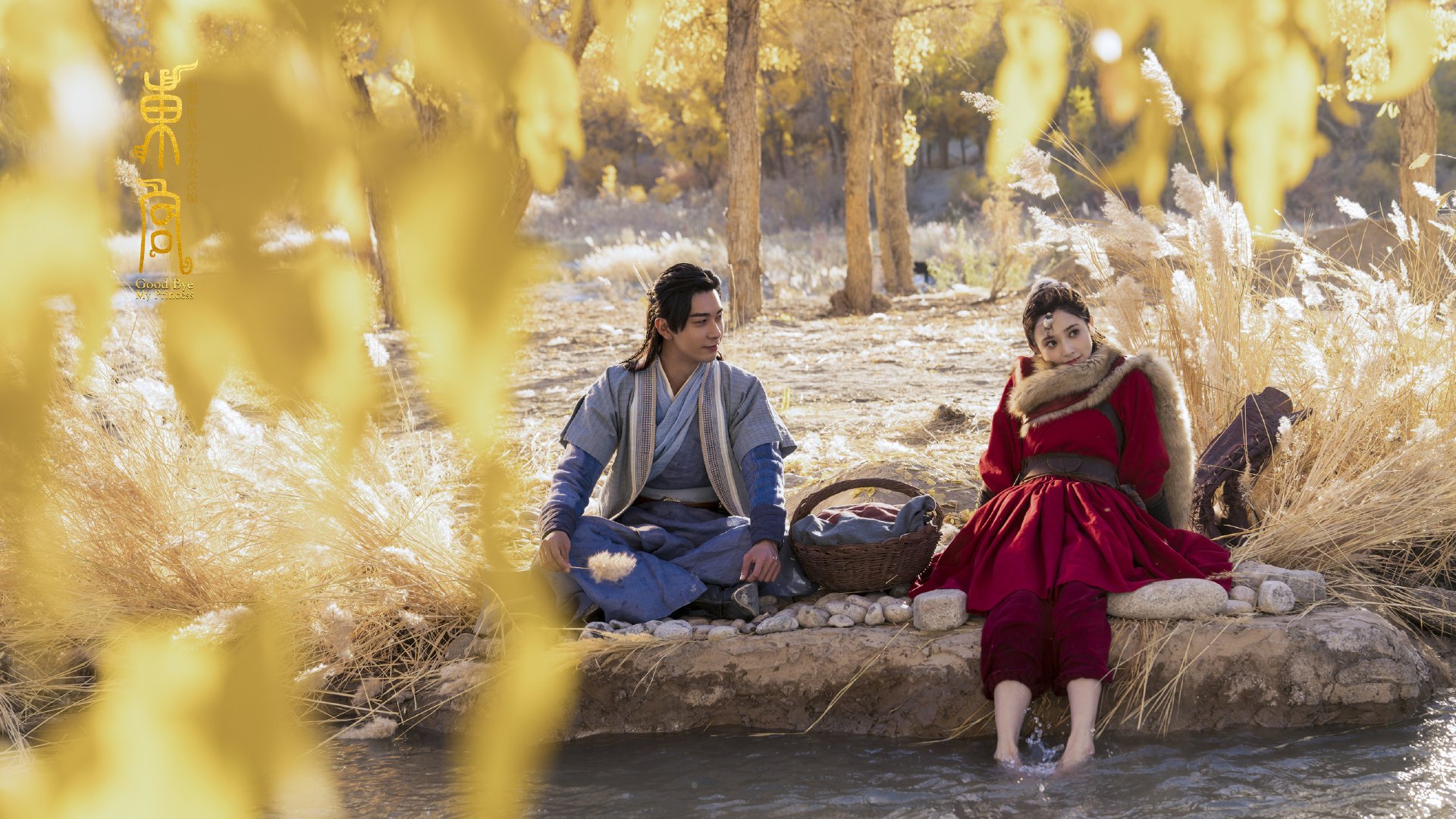 篮球专项体能训练周期化设计与效果分析，篮球运动项目体能训练计划