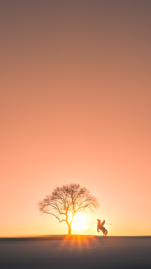 美国队在国际乒联混合团体世界杯中的精彩对抗与战术布局，美国乒乓球队名单