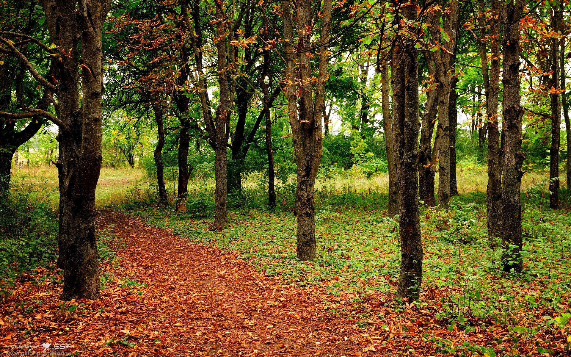 马拉松再掀热潮比赛延期引发讨论,马拉松赛事延期