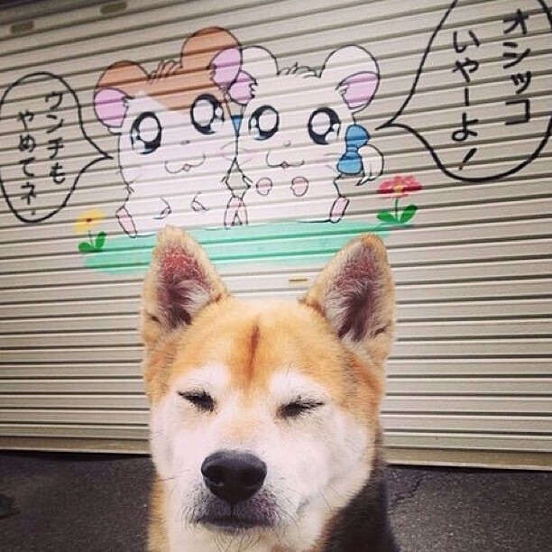 城市篮球发展指数首次发布用于评估各地篮球活跃程度，篮球的城市