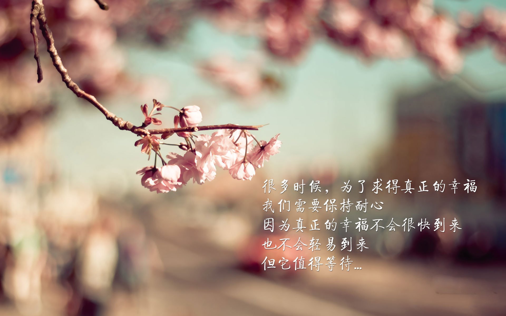 帕金斯为国家队赢得宝贵积分,帕金斯十佳球