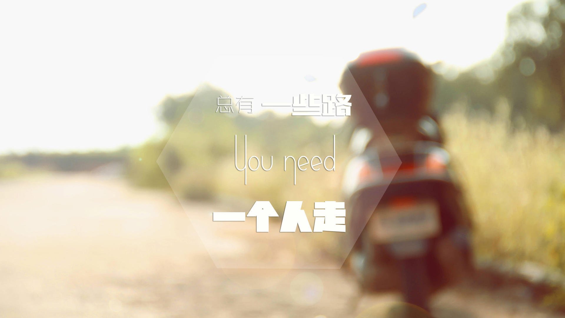 欧洲杯决赛现场:战术与激情的巅峰对决,欧洲杯决赛讲解