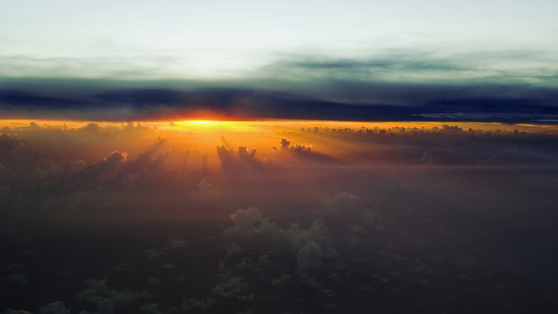 职业联赛制定球员行为规范手册引导健康发展,职业球员的定义