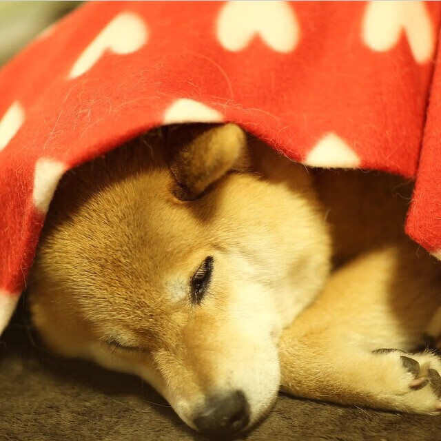 青少年足球科技创新基地在多国落成,激发青少年创新潜能,青少年足球学校